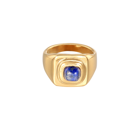 ANELLO DI TENUTA SKY.