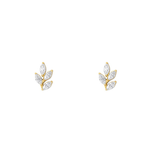 NAMI. STUDS