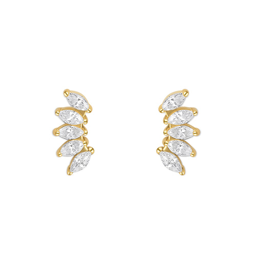 FOLIA. STUDS