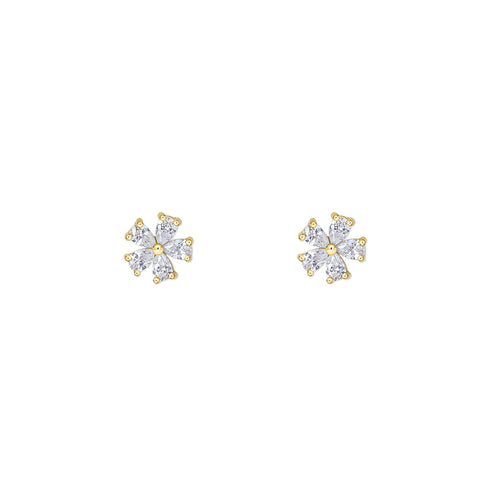 FLORA. STUDS